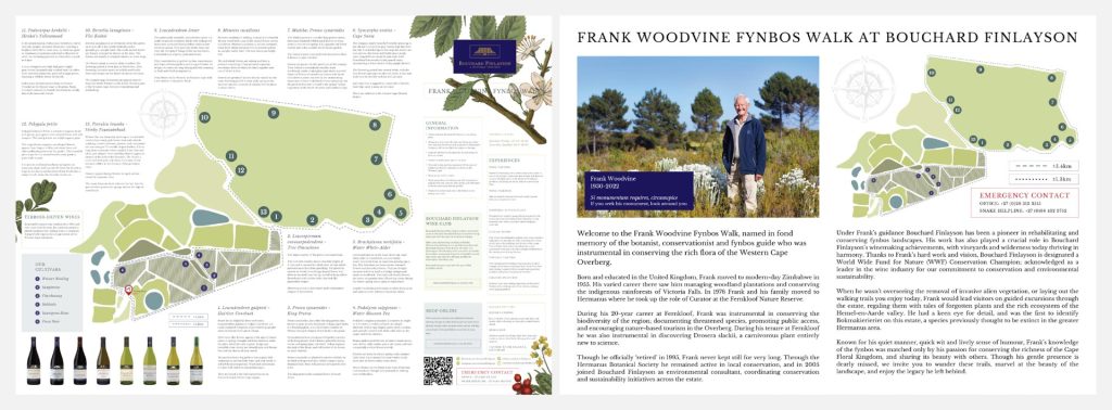 Frand Wood Fynbos Walk At Bouchard Finlayson Custom Map Illustration By Goldpear